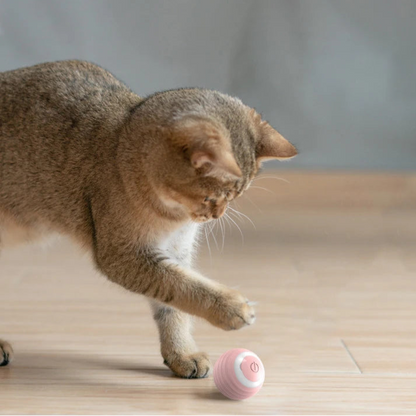 Automatic Rolling Cat Toy